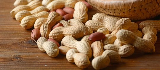 LE NOCCIOLINE IN VENETO SI CHIAMANO BAGIGI&nbsp;PERCHÉ?